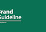 design professional brand guidelines and visual identity system